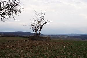 Okrouhlice