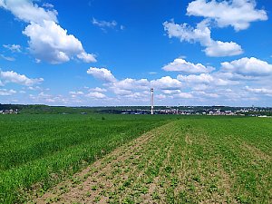 On the Plains