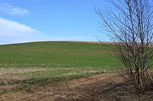 Skřivánčí vrch