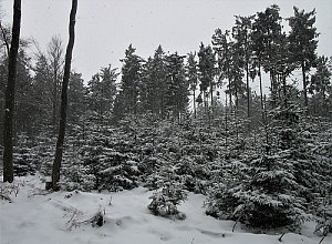 Malá Kleť JV