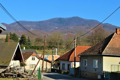 Drastavica