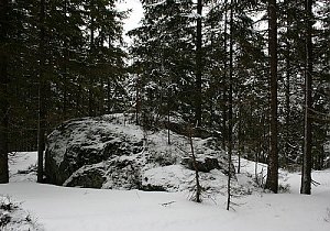 Oblík S