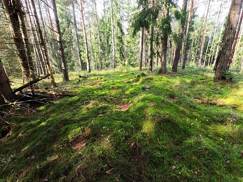 Bukový vrch