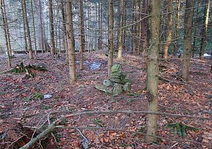 Polecký vrch V