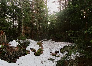 Polecký vrch - SV vrchol