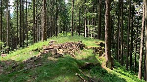 Janikula S