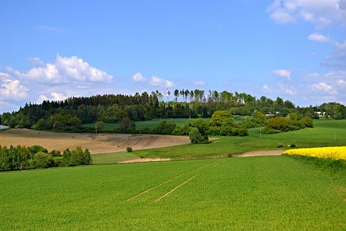 Veský vrch