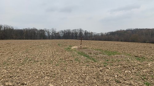 Liščí
