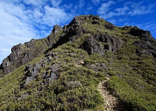 Cerro Chirripó