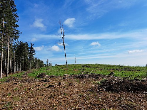 Prostřední vrch