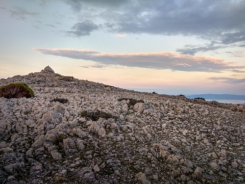 Brestovica