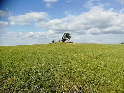 Račice