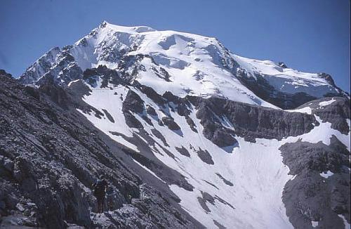 Ortler