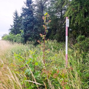 3.7.2026 na nejvyšší vrchol okresu Přerov
