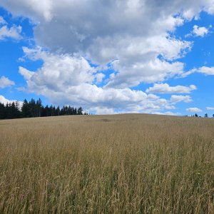 Hostýnsko-vsetínská hornatina