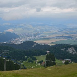 Malinné