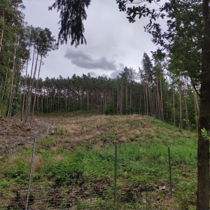Ralská pahorkatina
