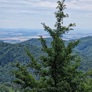Holý vrch, Podžiarik a Veľký Žiar