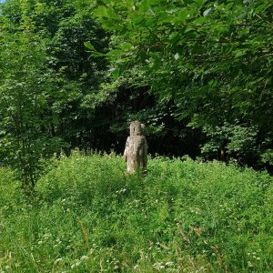Chůze: Visalaje - Polom - Mosty 
