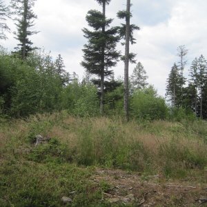 Malá Hradová