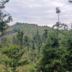 Ondřejnická Skalka