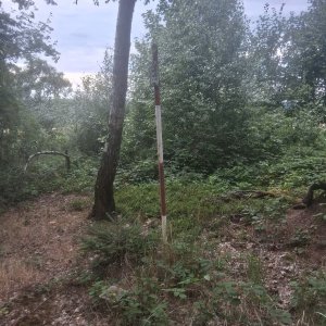 Výlet 22. 7. 2026