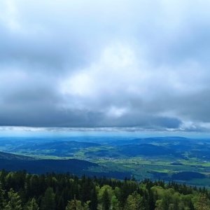 Lipno