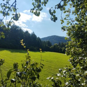 Snoh - Trhovisko