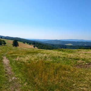 Horzelica - Nastróży