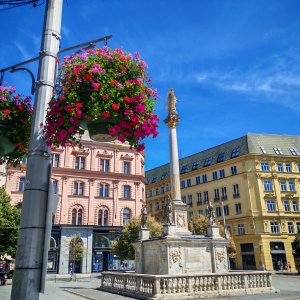 Žlutý kopec přes Špilberk aneb Tour de Brno-střed