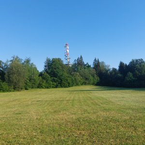 Javorová skála 723 m, Vlašimská pahorkatina