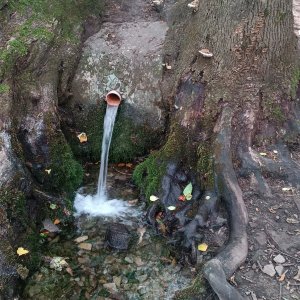 Šutyrova studánka