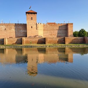 Gyula