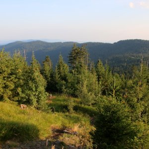 Šumava