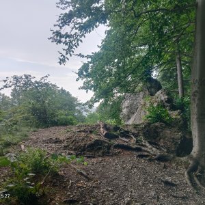 Podbeskydská pahorkatina