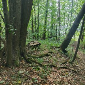 Podbeskydská pahorkatina