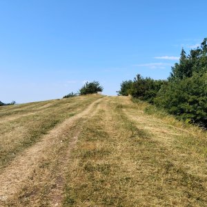 Podbeskydská pahorkatina