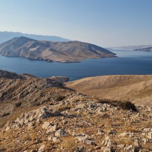 Bag, Ljubimer, Gabar, Organjska a Vrska glava