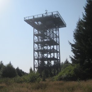 Český les: Havran