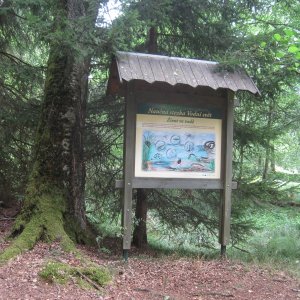 Český les: Lesná