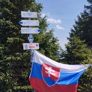 Poludnica