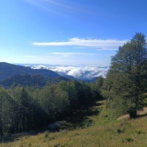 Veliká Planina 