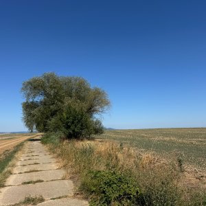 Přes Rovninu k Bukovině
