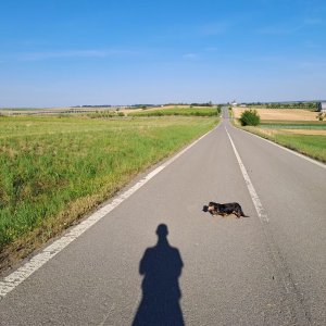 Chvalák 