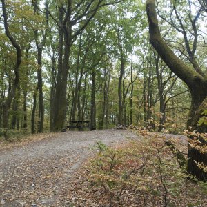 Potulky nad Bratislavou 