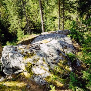 Šumava