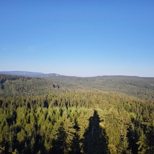Nejdek