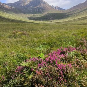 Over the glens
