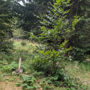Moravskoslezské Beskydy