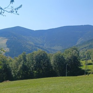 Smrk trochu jinak